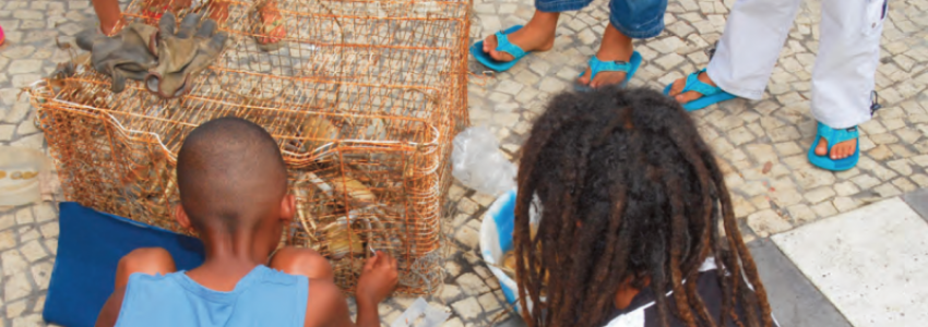 La fête du crabe : un marqueur identitaire pour la Guadeloupe
