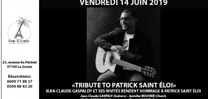 Tribute to Patrick SAINT ÉLOI - Hommage à Patrick SAINT ÉLOI