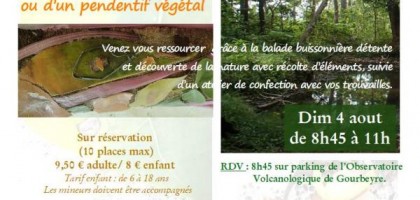 Balade récolte et confection : la vie de la forêt semi-humide du Houelmont