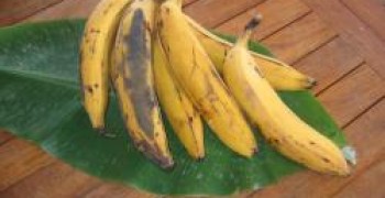 Gratin de bananes jaunes