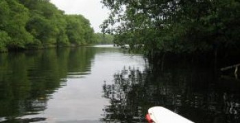 Pédalo et kayak sur la rivière.