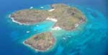 Plongée dans la réserve cousteau Guadeloupe