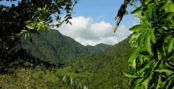 Randonnées avec l'Organisation des Guides de Montagne de la Caraïbe-OGMC