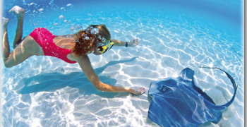 Ecotour Snorkeling avec l'Aquarium de la Guadeloupe