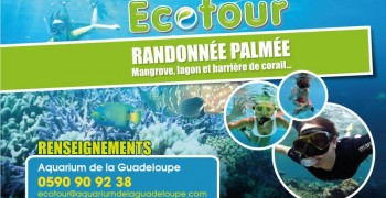 Ecotour Snorkeling