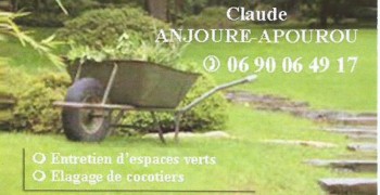 Entretien de jardins et élagage de cocotiers avec Claude Anjoure-Apourou