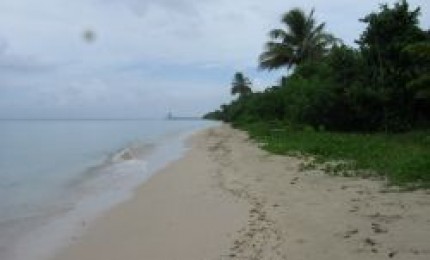 Folle-Anse : une plage un peu retirée