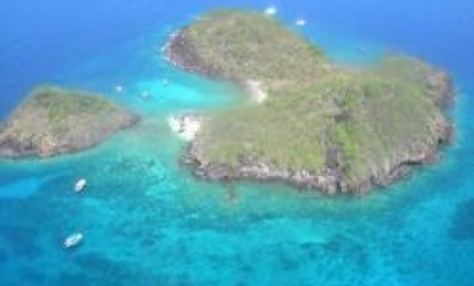 Anse Caraibe plongée : les îlets pigeon