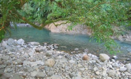 Pique-nique à  la rivière : Corossol