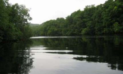 Pédalo et kayak sur la rivière.