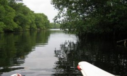 Pédalo et kayak sur la rivière.