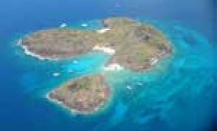 Plongée dans la réserve cousteau Guadeloupe