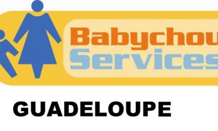 Babychou services