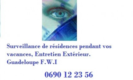 Surveillance pendant vos absences, Entretien Exterieur, Sécurité