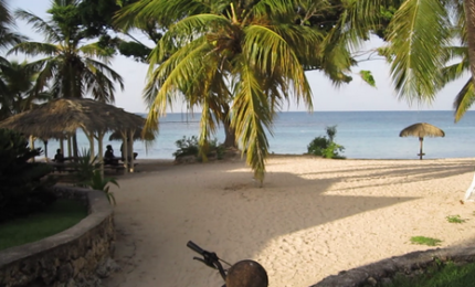 Location vacances studio Anse des rochers Vue mer et accès direct sur la plage
