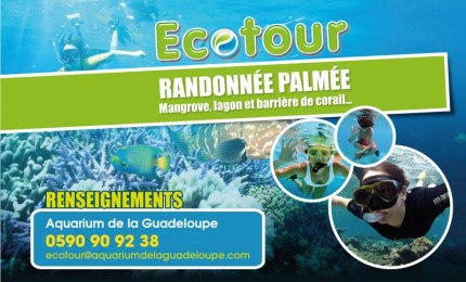 Ecotour Snorkeling