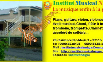 Institut musical Naigre