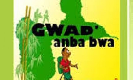 Gwad'anba bwa