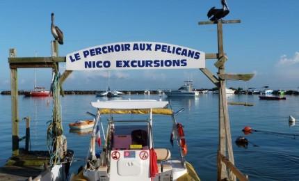 Nico excursions : découvertes pédagogiques