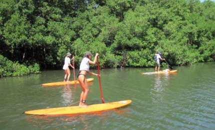 SUPin'Gwada , Stand Up Paddle en Guadeloupe