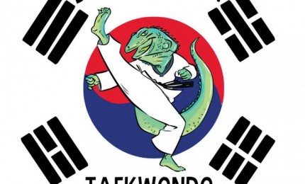 Baie-Mahault Taekwondo club