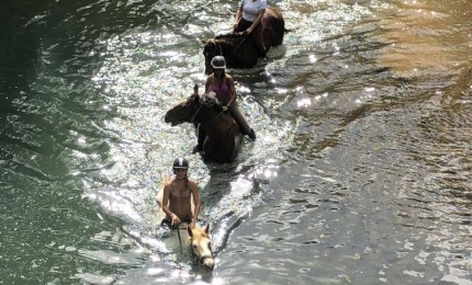 Nager avec les chevaux: Ranch Moreau